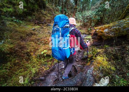 Hike in Nepal jungle Stock Photo