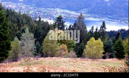 view from the mountain over coniferous forest on an idyllic lake in the valley with village Stock Photo