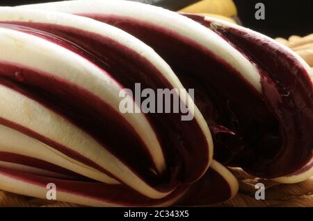 Fresh red Treviso radicchio raw Stock Photo