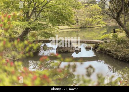 japanese stone bridge and flower bokeh on the pond of Rikugien Park in Bunkyo district, north of Tok Stock Photo