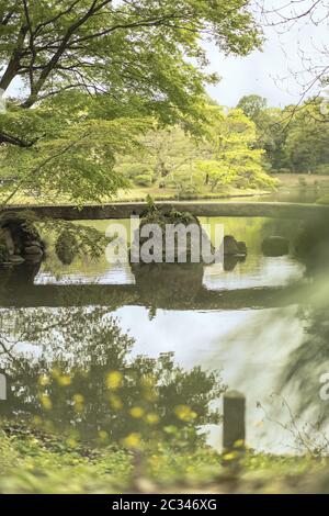 japanese stone bridge on the pond of Rikugien Park in Bunkyo district, north of Tokyo. Stock Photo