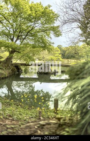 japanese stone bridge on the pond of Rikugien Park in Bunkyo district, north of Tokyo. Stock Photo