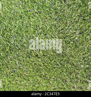 Artificial plastic green grass carpet flooring Stock Photo