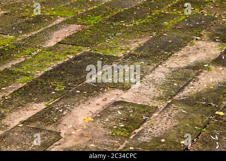 part of the concrete tiles of which the road is paved, old tiles covered with moss Stock Photo