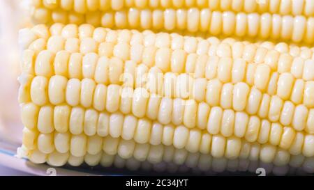 White corn. Boiled sweet white corn on the cob close up on white background Stock Photo