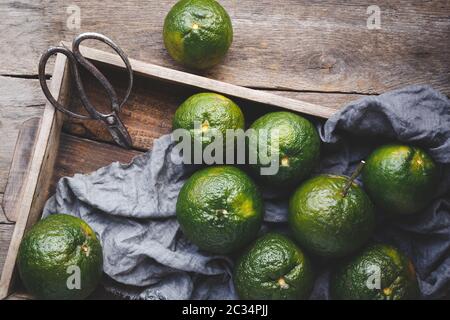 King mandarin fruit Stock Photo