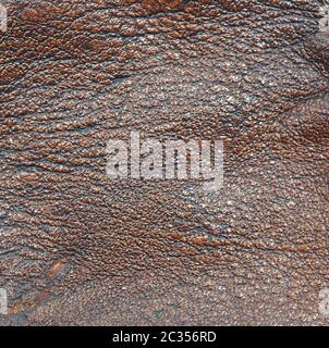 leather background Stock Photo