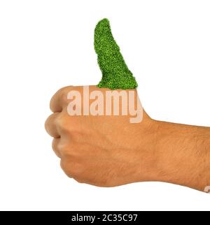 Green Grass Thumb Go Green thumbs up Hand Stock Photo