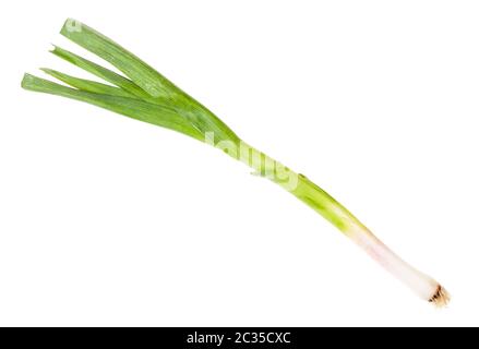 green young spring garlic isolated on white background Stock Photo