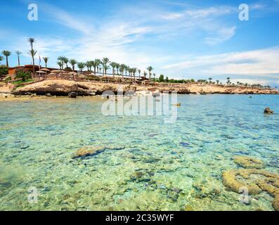 Coral reefs on the beach Stock Photo