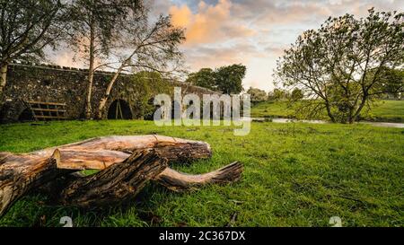 Old 12th century stone arch bridge over a river, tree trunks or logs on first plane. Green fields and trees. Dramatic sky sunset. Count Meath, Ireland Stock Photo