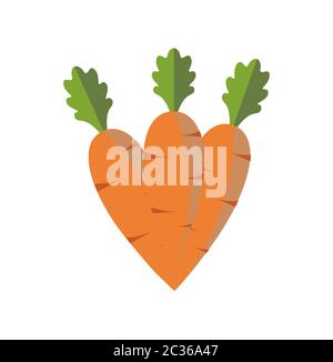 Vector carrots on a white background Stock Vector