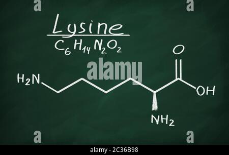 Structural model of Lysine on the blackboard. Stock Photo