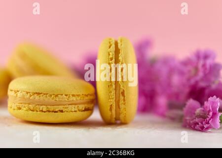 delicate yellow macarons dessert with pink flowers on pink background, close-up Stock Photo