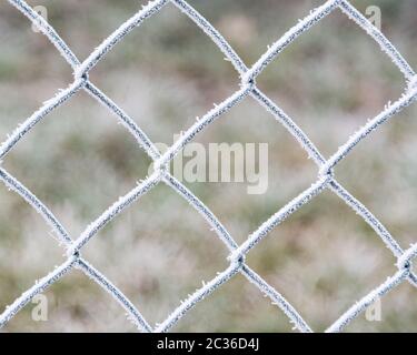 Hoarfrost on a mesh fence in winter Stock Photo