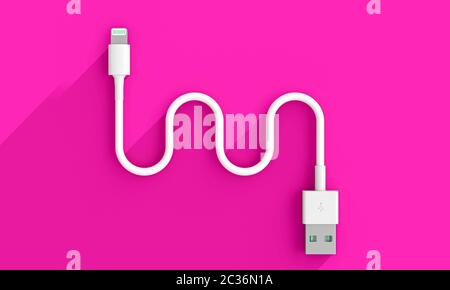 flat lay usb cable, 3d render image. connectivity and technology concept. Stock Photo