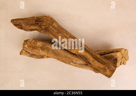 Banisteriopsis caapi wood, traditional visionary medicine Ayahuasca. Stock Photo