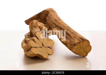 Traditional medicine Ayahuasca. Banisteriopsis caapi wood pieces. Medical natural psychedelics, Enteogens. Stock Photo