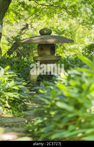 Circular stone path that cuts its way between bushes to a rounded stone lantern under a maple tree i Stock Photo