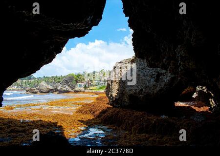 This is the rugged east coast of Barbados, where visitors come to breathe the air, soak in the invigorating Bathsheba Pools and feel alive. Stock Photo