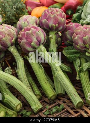Artichokes on a market stall.  Cynara scolymus. Stock Photo