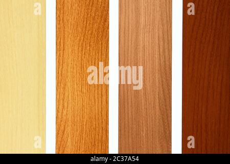 Four maple wood samples in brown palette Stock Photo