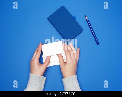 two female hands holding a stack of empty white paper business cards on a blue background, top view Stock Photo