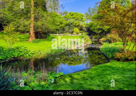 Spring in Hyde Park located in Central London, UK Stock Photo