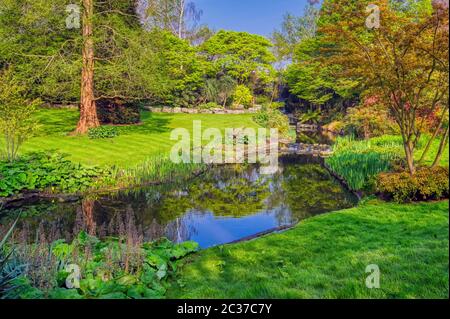 Spring in Hyde Park located in Central London, UK Stock Photo