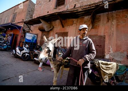 Marrakech, Morocco, Feb 2019: Old poor muslim man with donkey and cart at traditional street market in Morocco. Moroccan old town medina Stock Photo