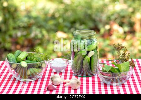 Cucumbers and spices for preservation. Spice garlic and cucumbers in a jar on a red checkered tablecloth. Natural green background Stock Photo
