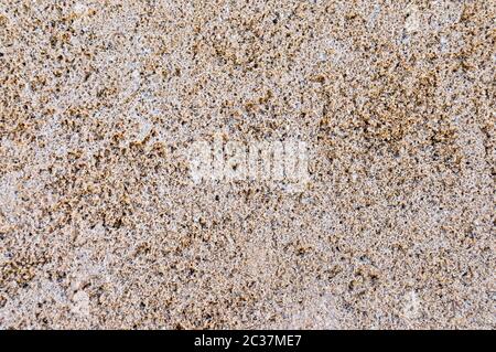 The background texture is a rough pale pink wall with a very grainy surface and many small protruding stones. Stock Photo