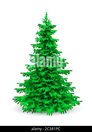 Christmas tree. Herringbone on a white background. Evergreen coniferous tree. Stock Vector