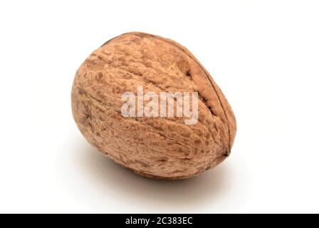 One whole walnut on white background. Stock Photo