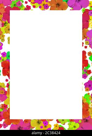 White Background With Multicolored Floral Decoration Borders Stock Photo
