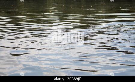 Wavy Water Surface At The Lake Background Stock Photo