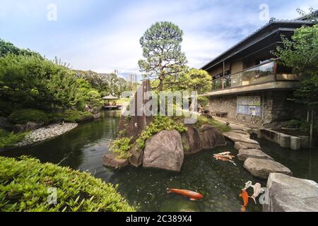 Orange Japanese carp koi in the central pond of Mejiro Garden which is surrounded by large flat ston Stock Photo