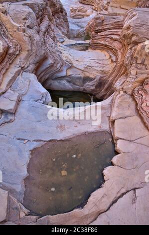 Ernst Tinaja water pools, Chihuahuan Desert in Big Bend National Park, Texas, USA Stock Photo