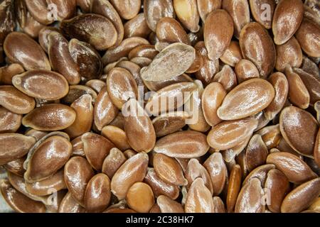 brown flax seeds under the magnifying glass Stock Photo