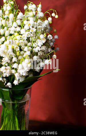 Delicate bouquet of lily of the valley in a glass vase on a red background. Selective focus. Stock Photo