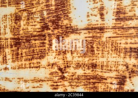 Rusted white painted metal wall. Rusty metal background with streaks of rust. The metal surface rusted spots.metal rust texture background. Stock Photo
