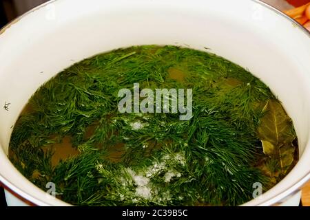 Dill in a pan with bay leaf, cooking crayfish Stock Photo