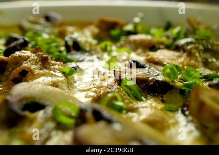 Fried chicken with mushrooms, milk and green onions. Stock Photo