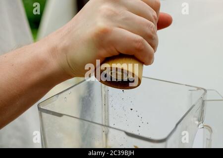 Grinding spices and shaking them in a dish. Spices in food. Stock Photo