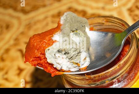 Mold growing on the tomato paste. Close up Stock Photo