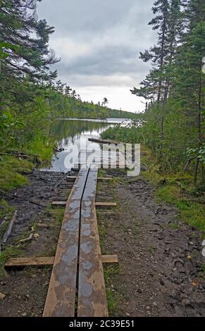 Boardwalk on a Muddy Portage on LIzz Lake in the Boundary Waters in Minnesota Stock Photo
