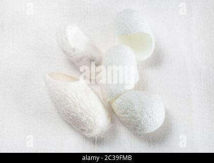 several natural silkworm cocoons for facial skin care on white silk cloth close up Stock Photo