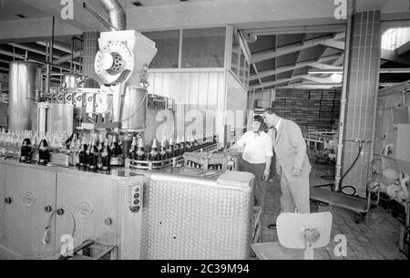 Max Schmeling at his company in 1966. He operated a chief agency for Coca Cola products in Hamburg-Bramfeld. Stock Photo