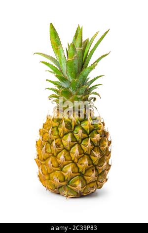 Ripe pineapple Stock Photo