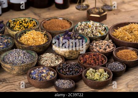 Fresh medicinal herbs on wooden background Stock Photo